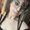 Photo of Brittany K.