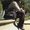 Photo of Brandon A G.