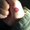 Photo of Ariya R.