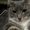 Photo of Jess H.