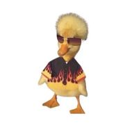 google avatar
