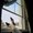 Photo of Qype User (tf_…)