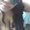 Photo of Cherlye S.