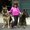 Photo of Melanie S.