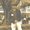 Photo of Ron M.