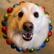 google avatar