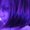 Photo of Lori Y.