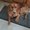 Photo of Conni J.