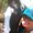 Photo of Leann Y.