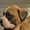 Photo of Fawn B.