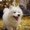 Photo of Lily Q.