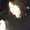 Photo of Rinna S.