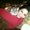 Photo of Khat S.