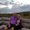 Photo of Mike H.