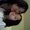 Photo of Tami H.