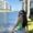 Photo of Gabriela C.