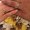 Photo of Kais A.