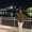 Photo of Gabriela S.