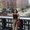 Photo of Sara R.