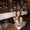 Photo of Alivia A.