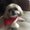 Photo of Penny P.