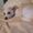 Photo of Sheyla R.