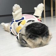 google avatar