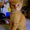 Photo of Dusty N.