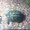 Photo of Cityvox User (sandri…)