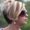 Photo of Stacy S.