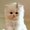 Photo of Wendy C.