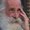 Photo of Steve J.