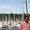 Photo of Ankur G.