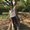 Photo of Christina T.
