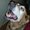 Photo of Melina P.