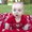 Photo of Cathy C.