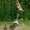 Photo of Enigme F.