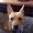 Photo of Taty T.