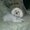 Photo of Precious M.