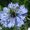 Photo of Qype User (heilu7…)