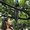 Photo of Ridhi C.