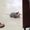 Photo of Kayla T.