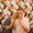 Photo of Honey And Bear ..
