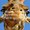 Photo of Qype User (Happyk…)