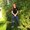 Photo of Ashley K.