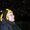 Photo of Yvette R.