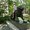 Photo of Jari H.