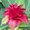 Photo of Marie W.