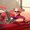 Photo of David J.