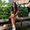 Photo of Nicole G.
